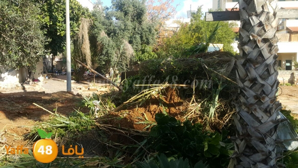 jarrafat hadm sa77a (9).JPG